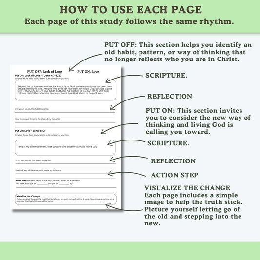 Made New Bible Study Printable